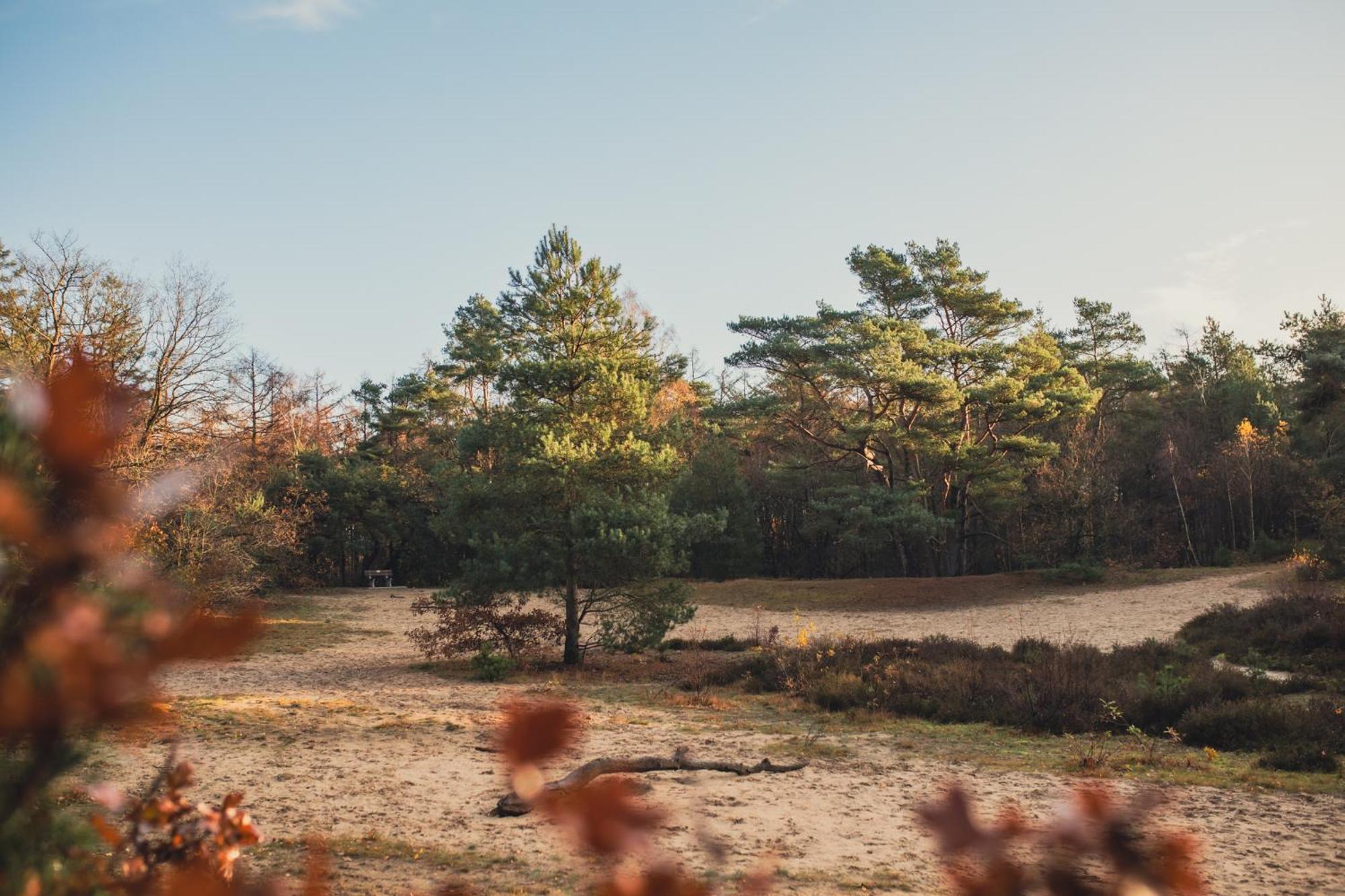 Drents Genieten - Lavendelheide Met Uitzicht Op Het Water Erm Exteriér fotografie